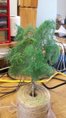 SJ tree 20170508_114614_resized